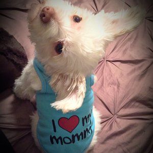 ❣️HP❣️I Love Mommy shirt for doggie sz: M